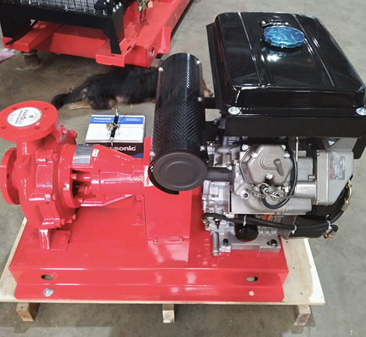 Máy bơm Diesel PAROLLI -15HP/11KW PS50-200/110I